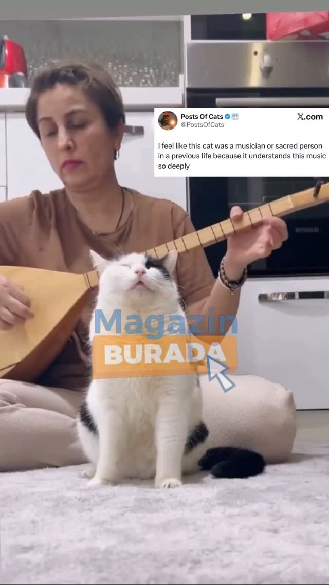 Keçi Kedi: Global Ünlülük Efsanesi