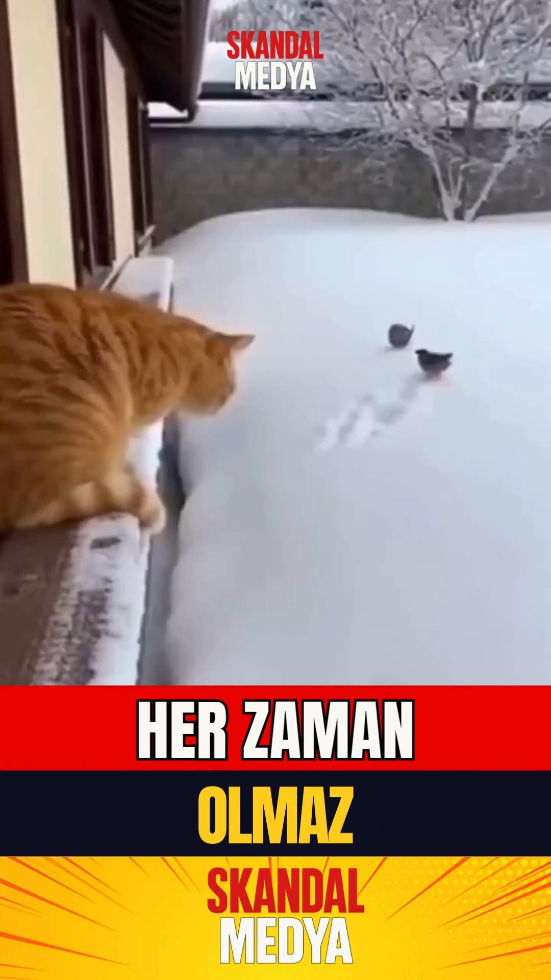 EVDEKİ HESAP ÇARŞIYA UYMADI!