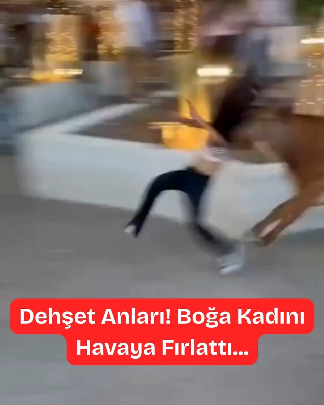 Meksika'da Dehşet Anları!