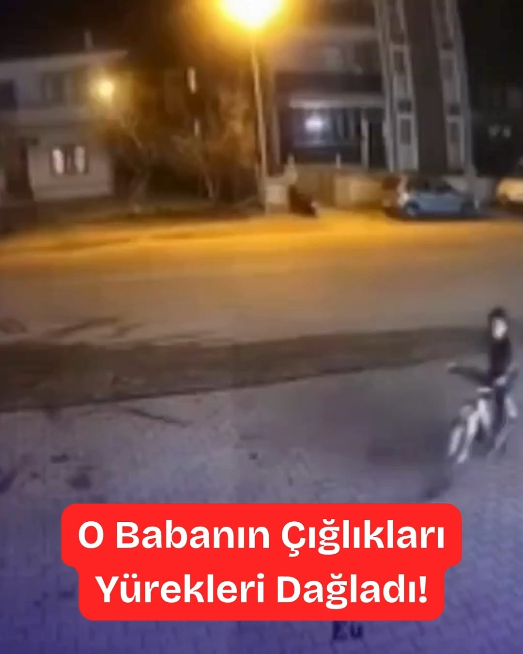 Muğla'da Kaydedilen Trafik Kazası: Bir Babanın Agoni