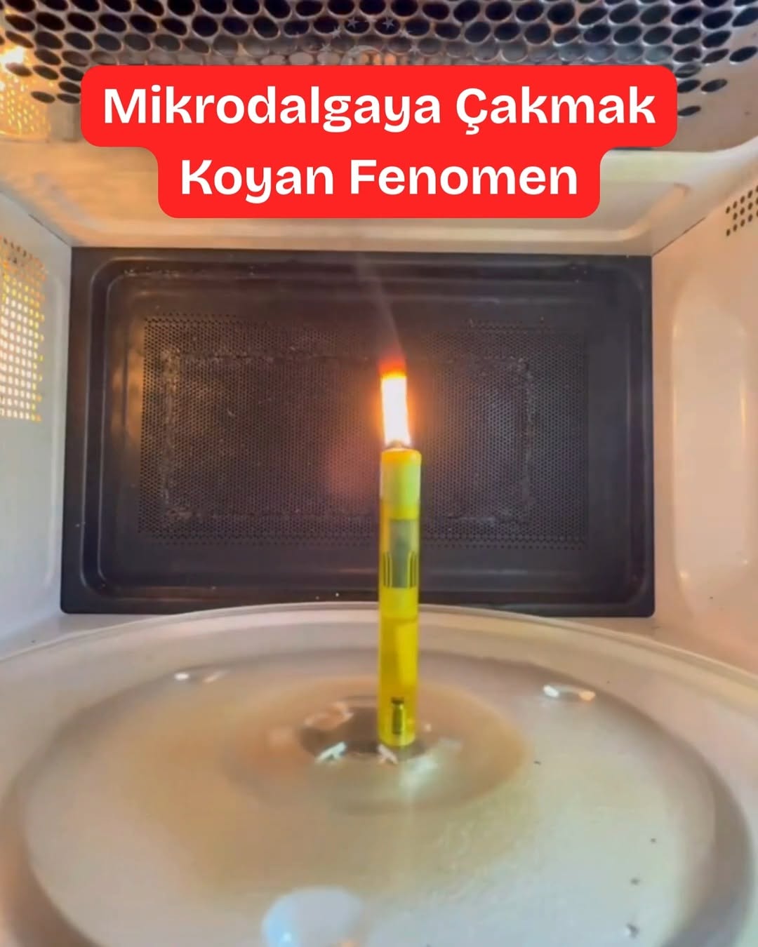 Mikrodalgaya Çakmak Koyan Fenomen!
