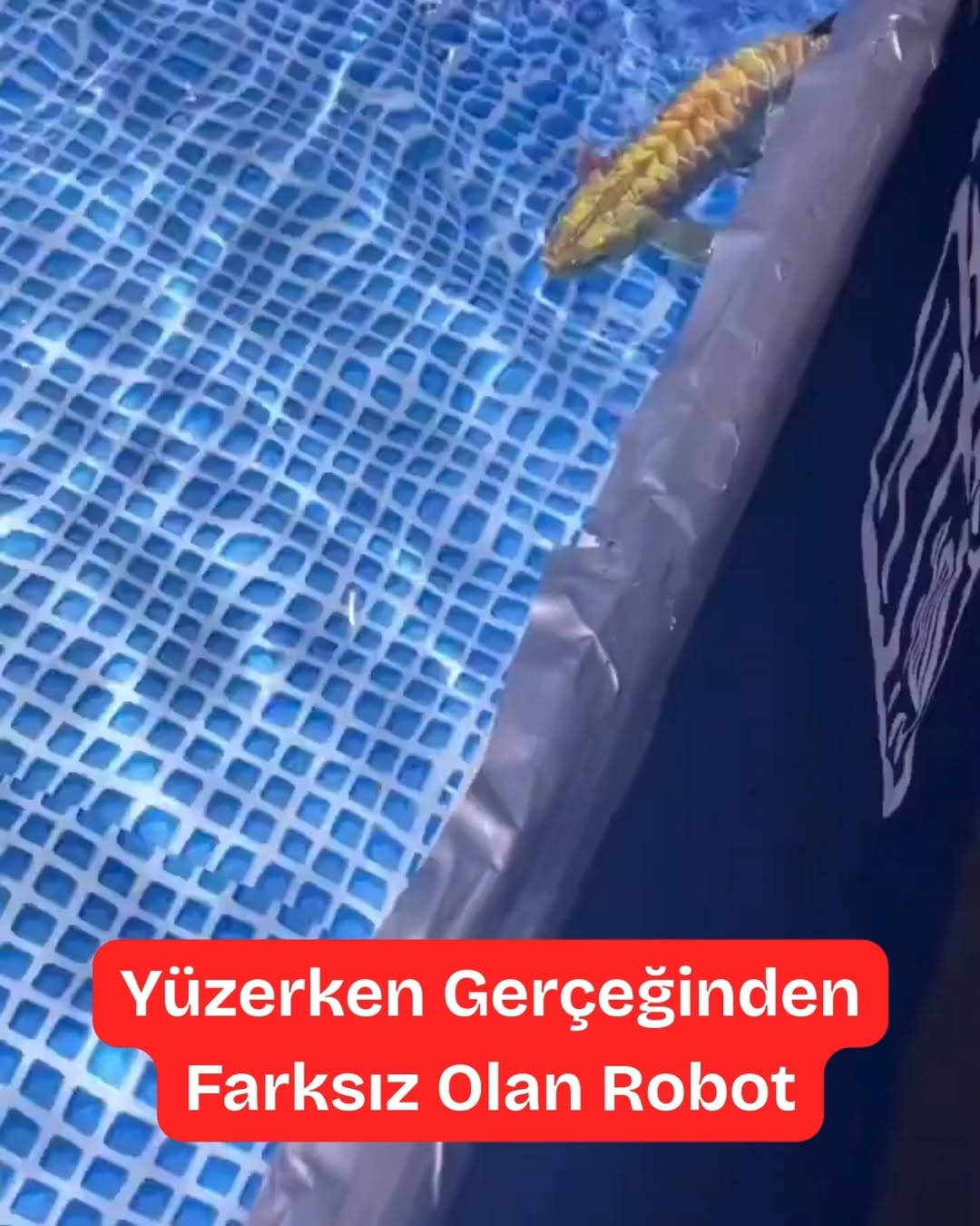 Çin'in Yeni Sualtı Casusu: Robot Balık