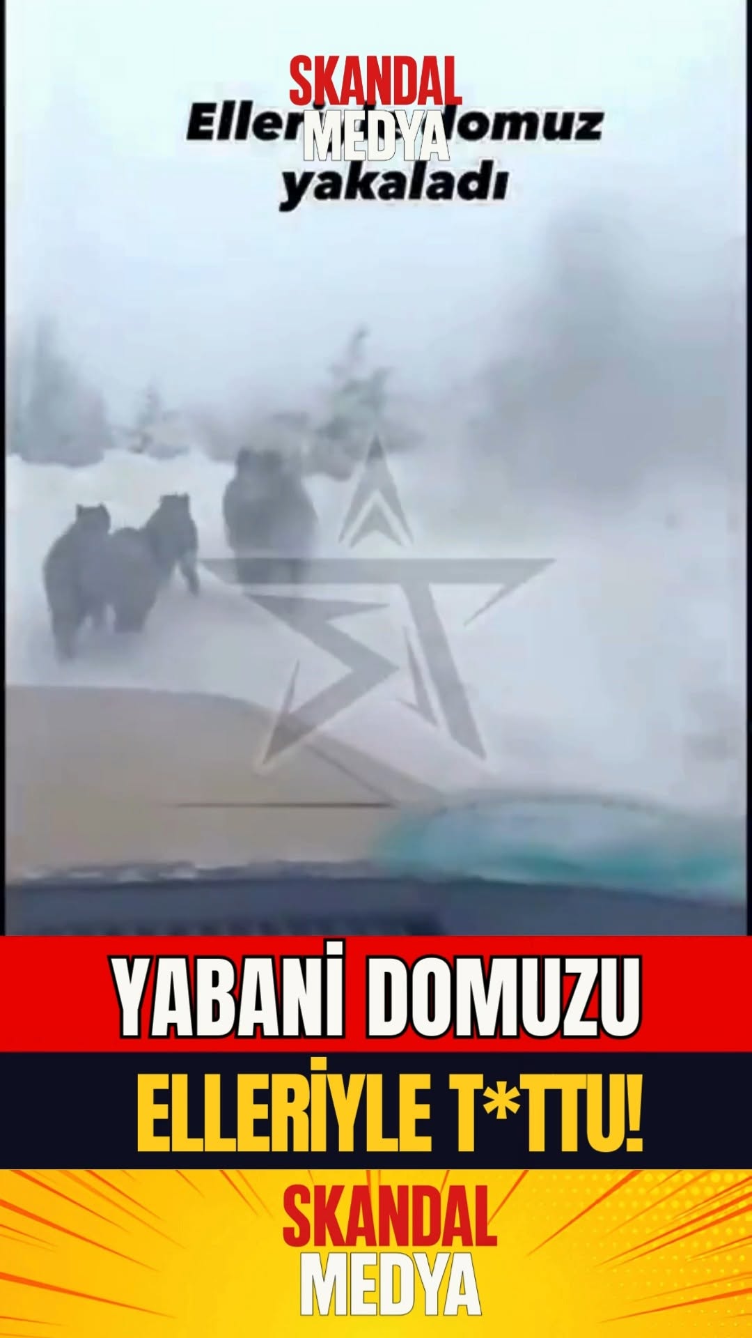 Yabanî Domuzu Elleriyle Ykalayan Sürücü!