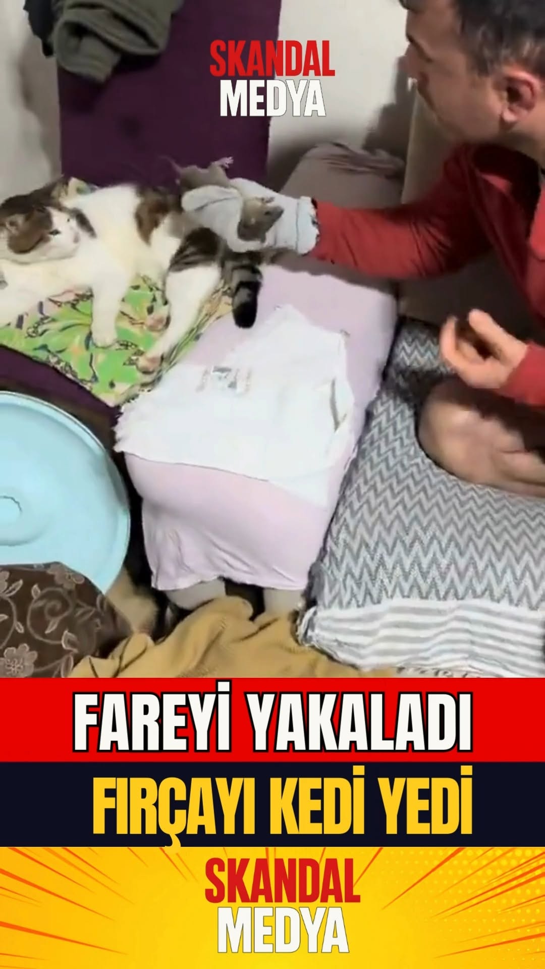 MUTFAKTA FRE YAKALANAN EVİNE ŞAŞIRTICI BİR HADISE OLUYOR!