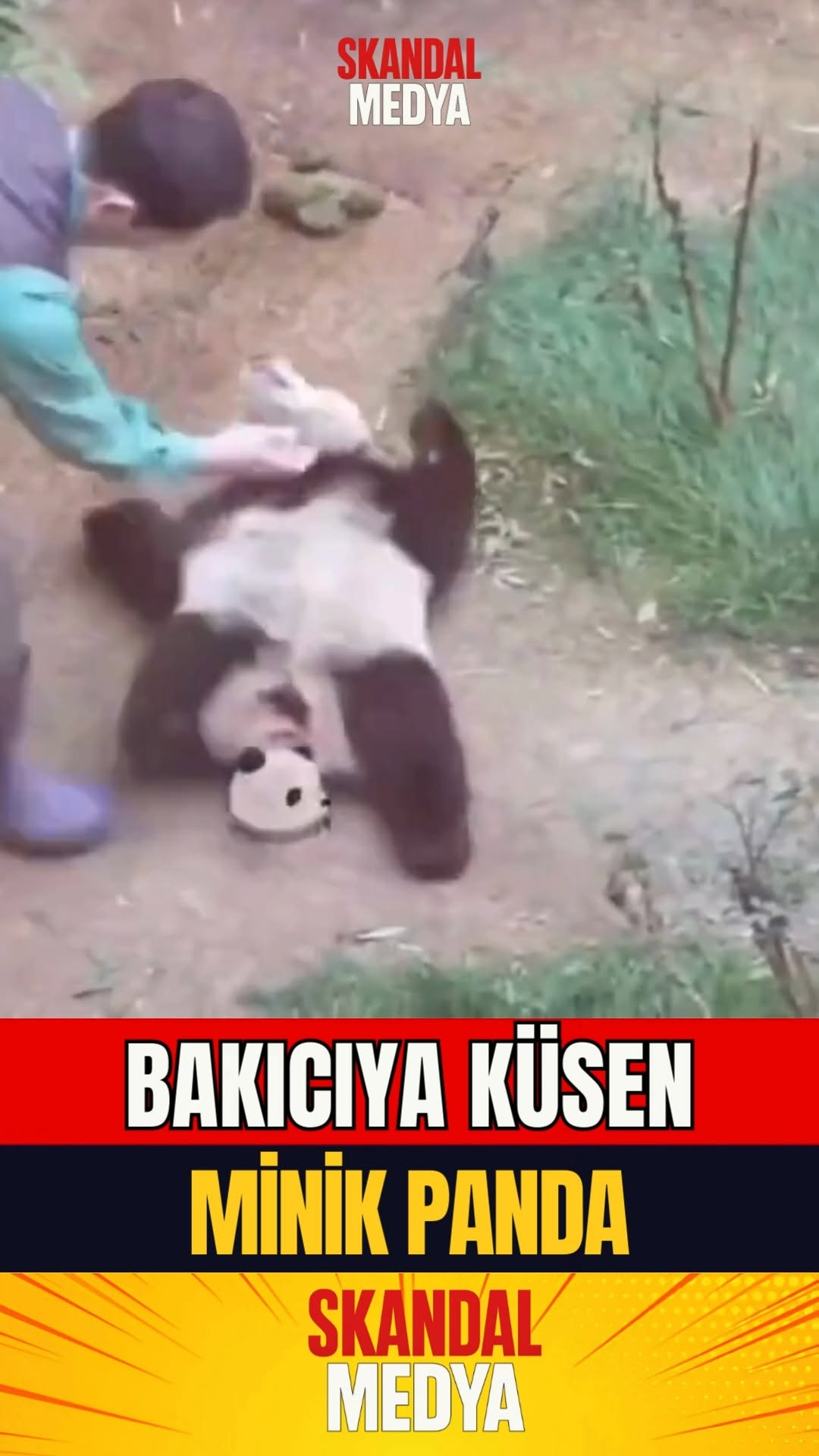 Bakıcısı Yandı, "Valide Sultan" Geliyorum!