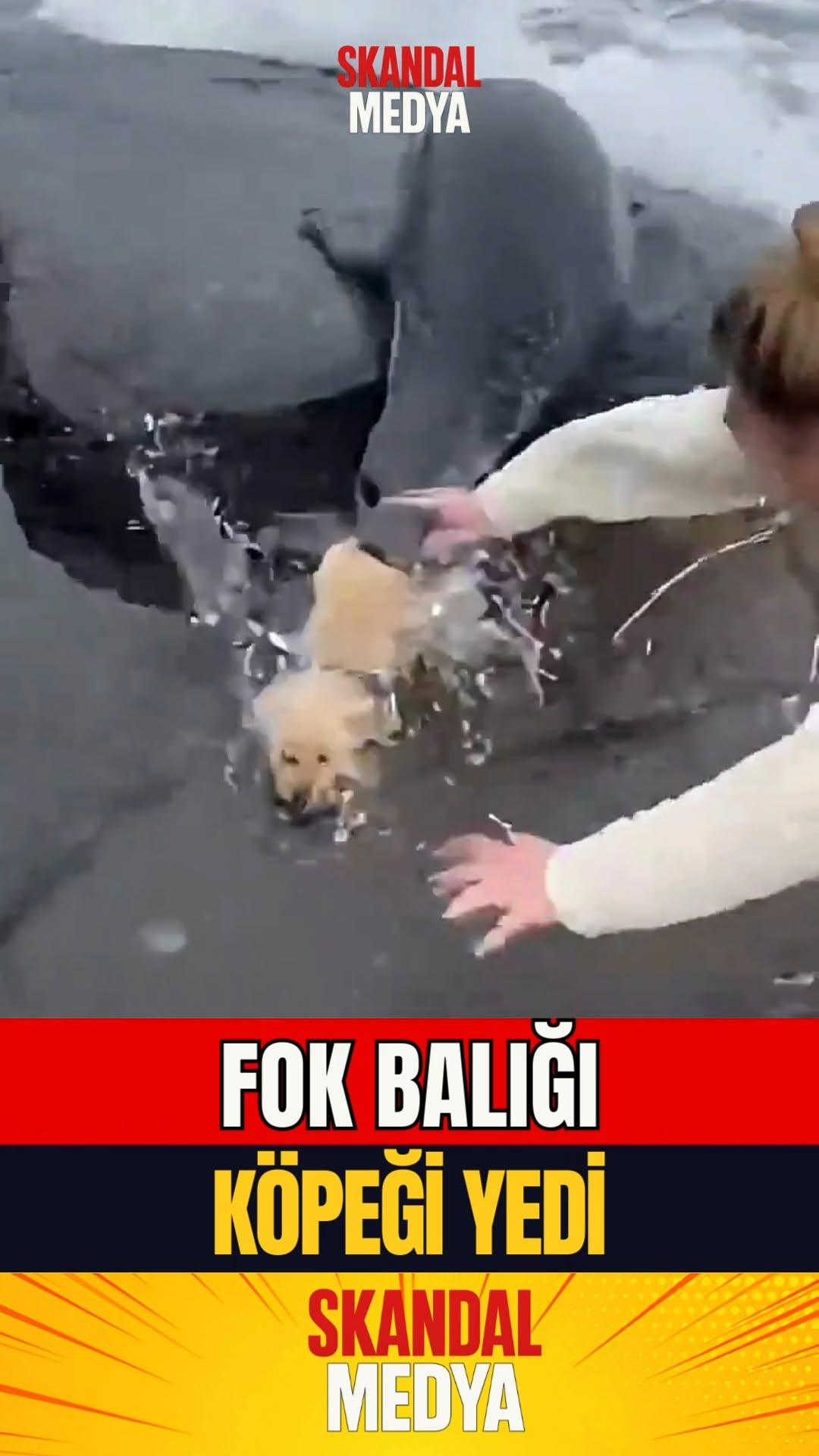 Doğanın Şakası Yok!