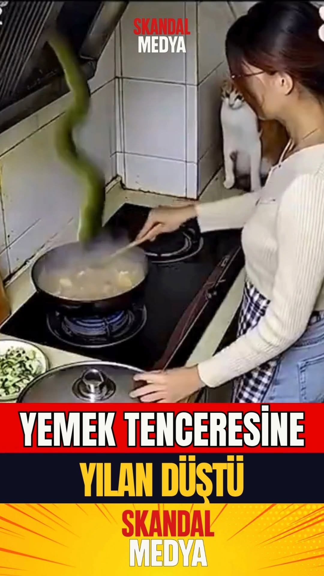 Magazin Haberi: Yılanın Tencerede Yemek Hikayesi
