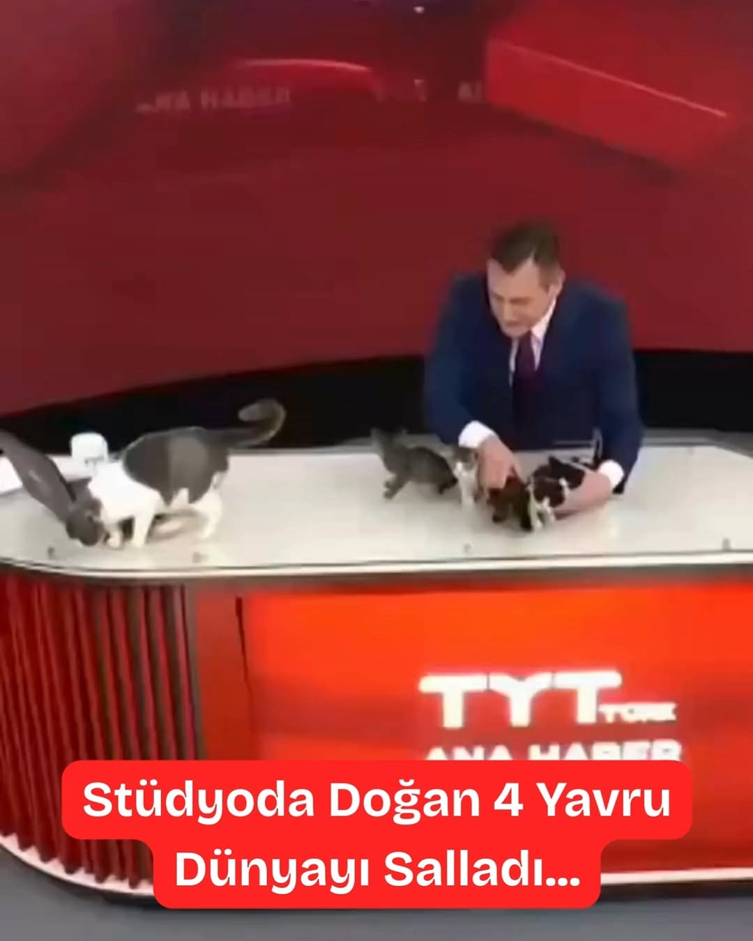 Ana Haberin Yeni Sunucuları Belli Oldu!