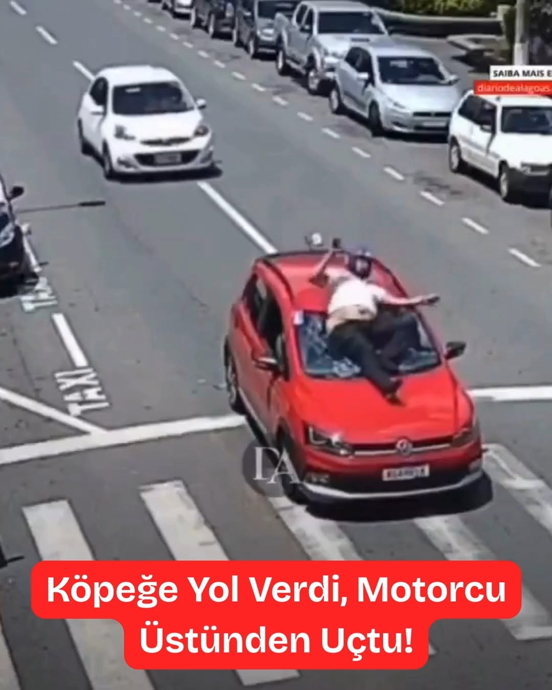 Trafikte Köpeğe Yol Vermek İçin Aniden Duran Sürücü, Motorcunun Hazırlıksız Yakalanmasına Neden Oldu
