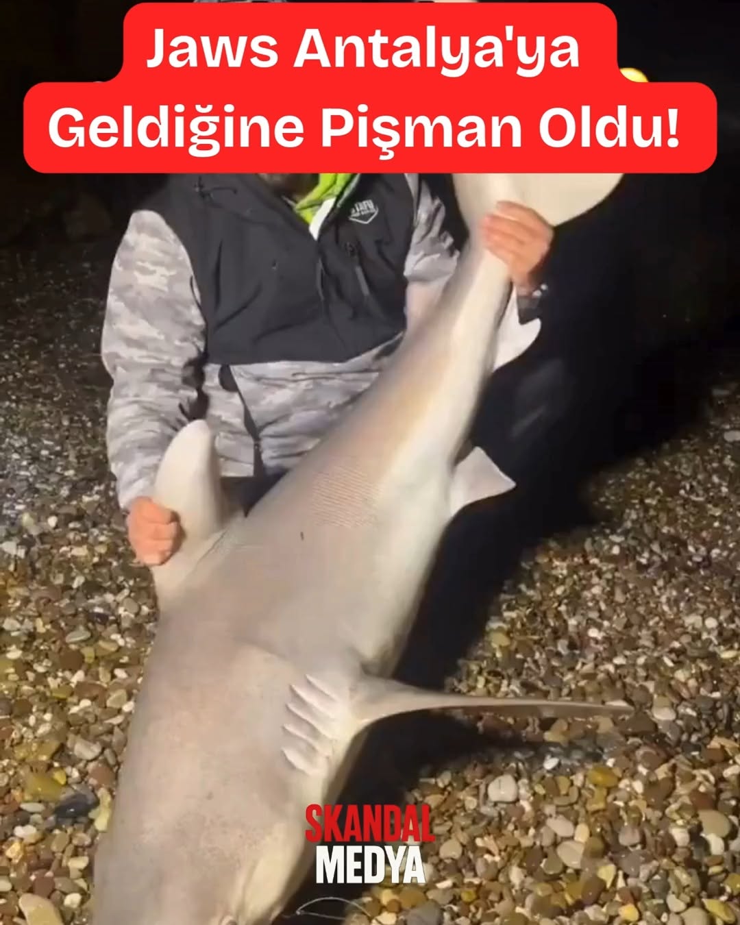 Köpek Balığı Antalya Sahiline Vurdu, Cesaretli Vatandaşın Hareketi