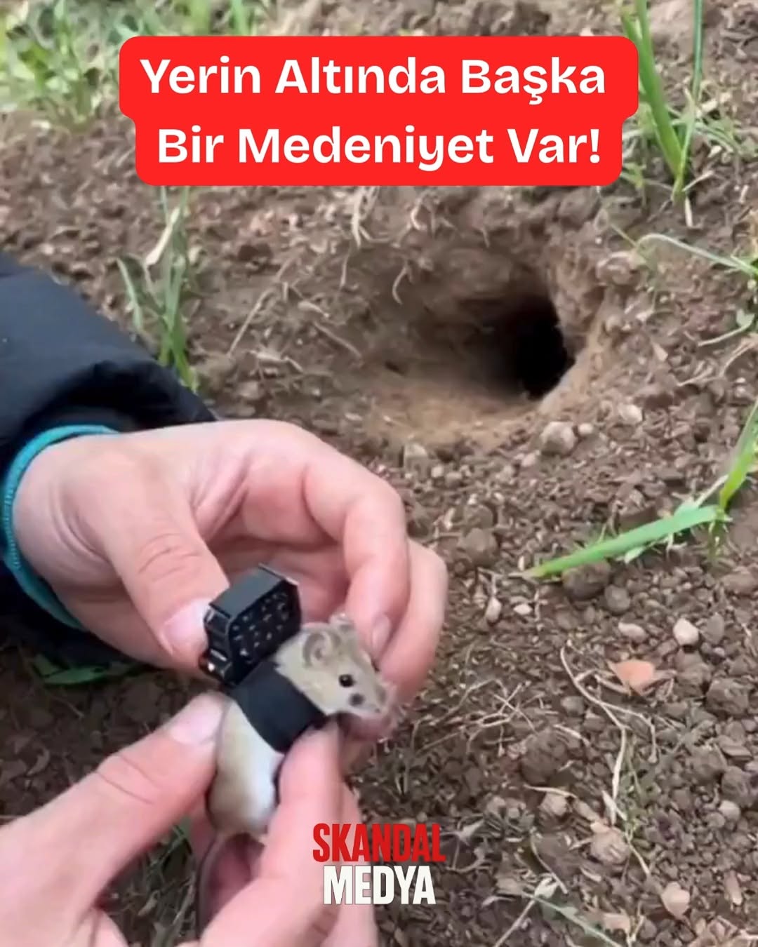 Yerin Altında Gizli Medeniyet Var