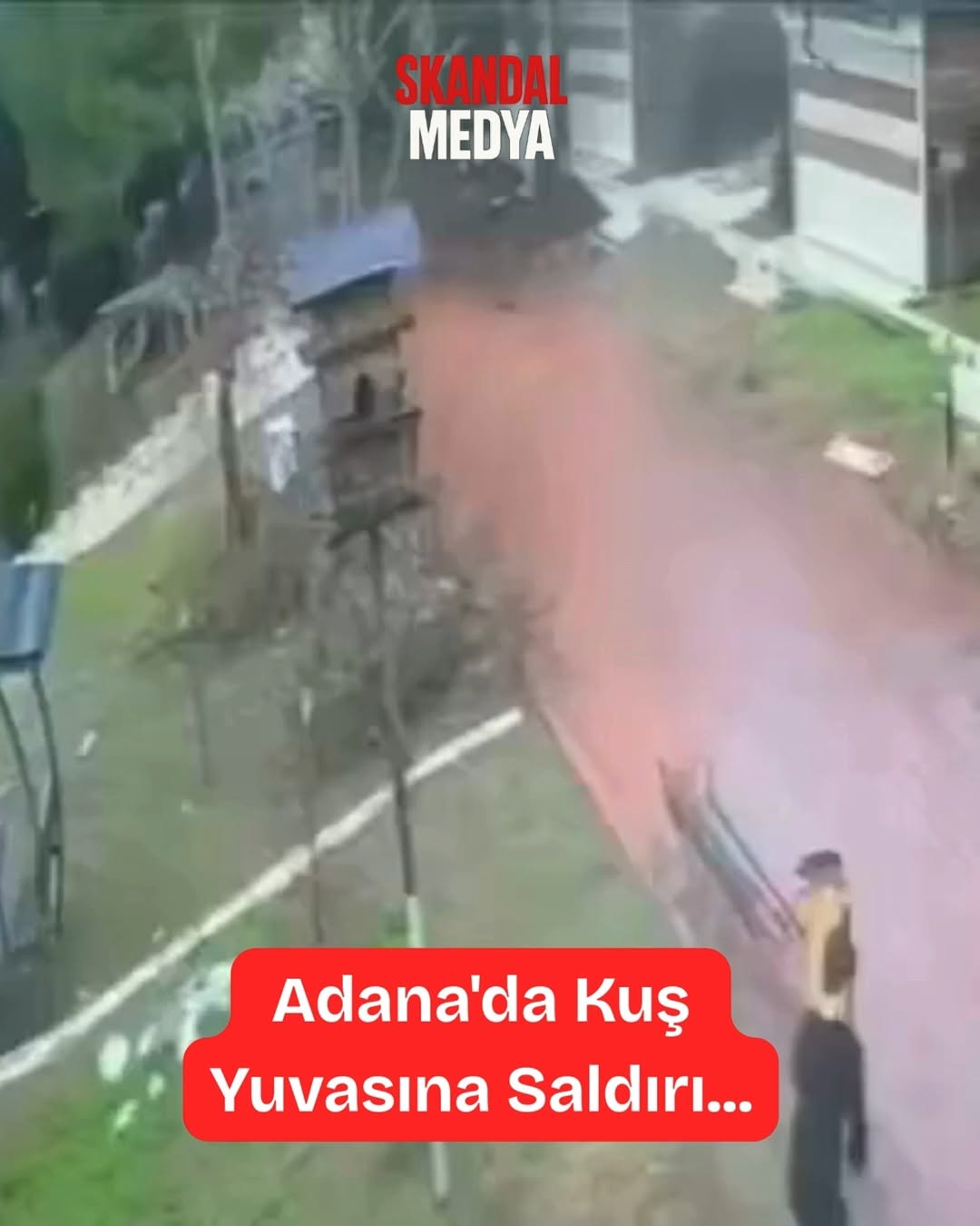 Adana'da Kuş Yuvasına Saldırı: Vicdanınız Kurusun!