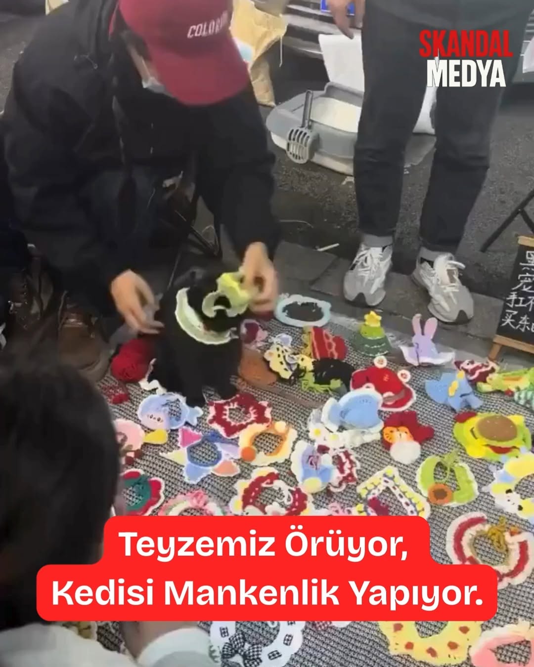 Teyzemizin Kedisi Mankenlik Yapıyor