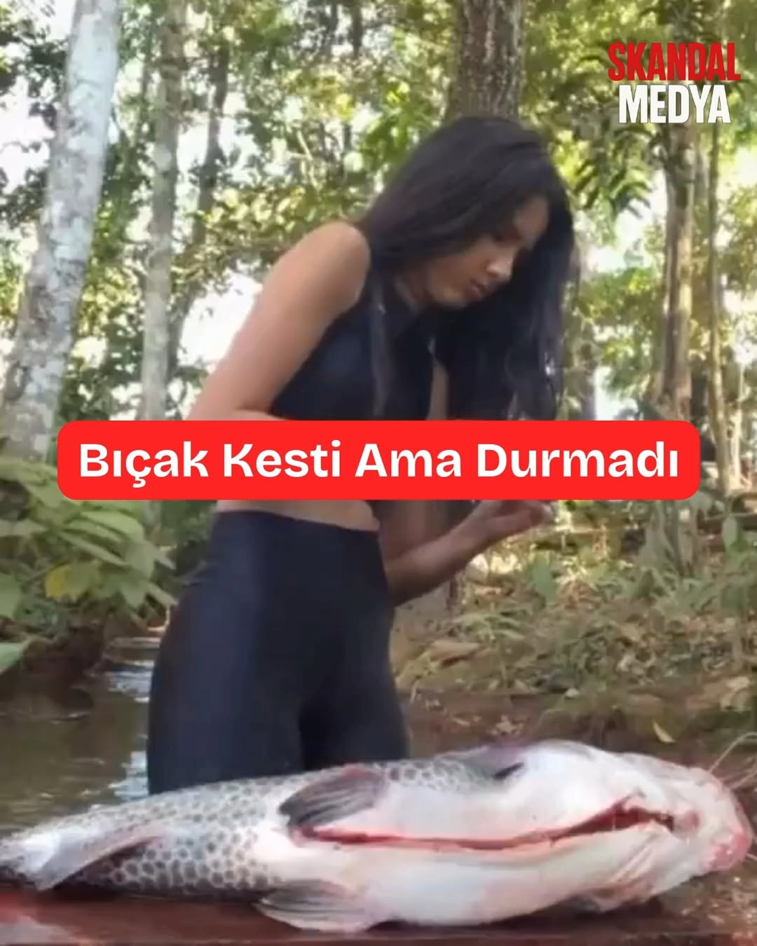 Zombi Balık: Tavaya Girmeyi Reddeden İnatçı Balık