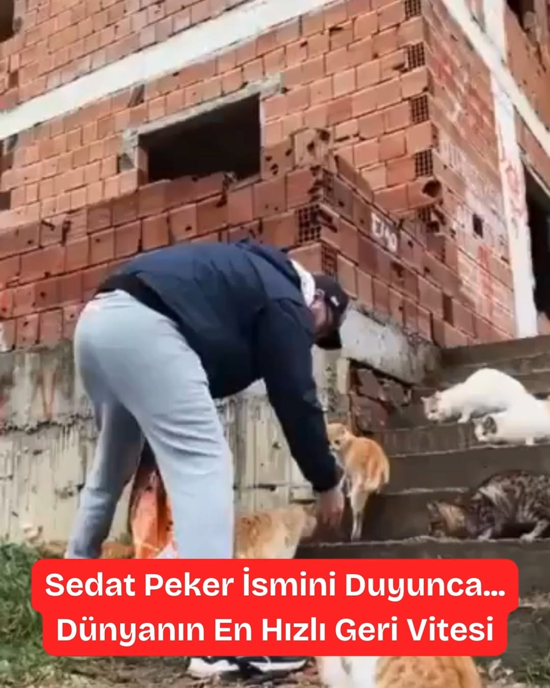 Sedat Peker'in Tehdit Karşısında U Dönüşü