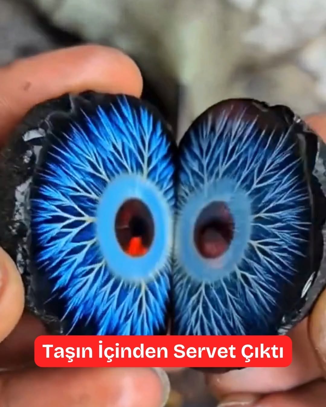 Sıradan Bir Taş Sandı, İçinden Çıkan Şok Etti